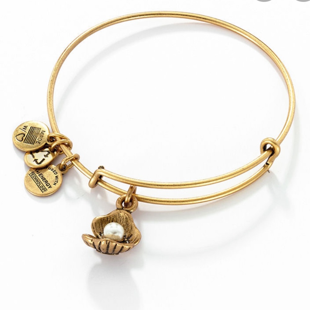 Alex and Ani Oyster Charm Bangle in GoldBrass